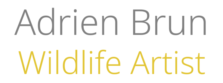 Mentions légales Adrien Brun