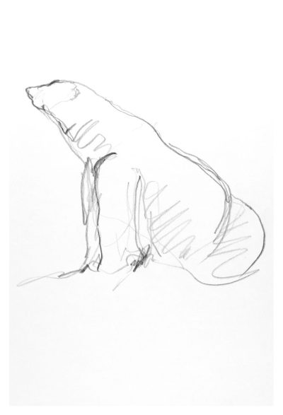 ours_cr_700px ours_cr_700px